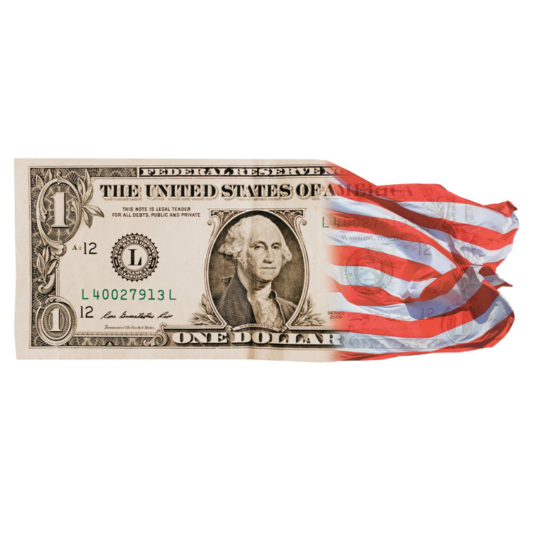 Trinx Dollar Flag Underwater Pool Mat Tattoo Wayfair Canada